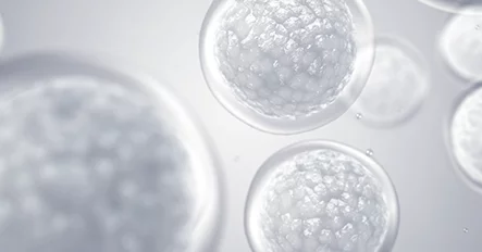 骨髓干细胞注射